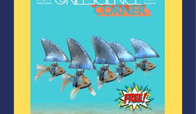Weekend Fun with Sharks
