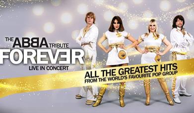 promotional poster for abba forever