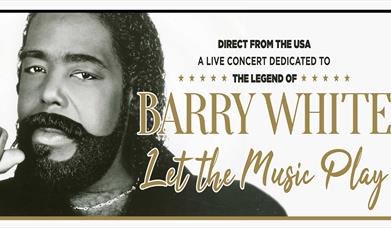 Promotional poster for let the music play