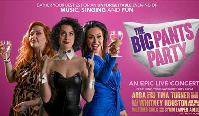Promotional poster for the big pants party