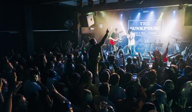 Crowd watching a band on stage.