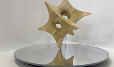 Clara Newman, Diatoms, 2025