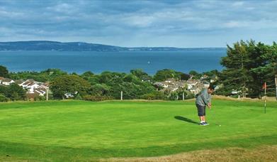 Clyne Golf Club & Somerfield Lodge with views