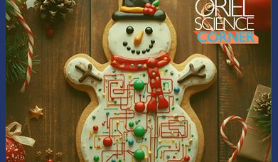A snowman biscuit with a circuit board on it made out of icing.