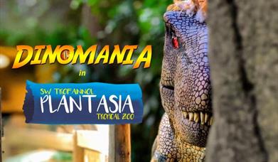 promotional image for dinomania at plantasia