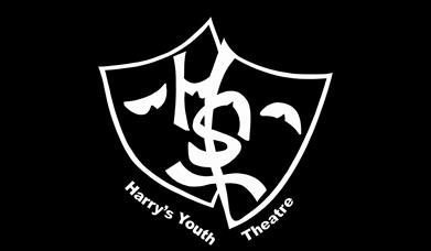 Harrys Youth Theatre