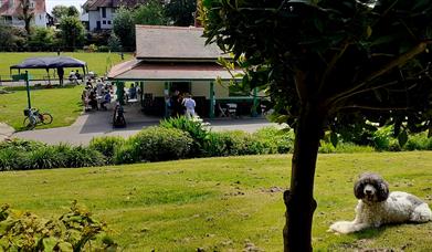 Dylan's at Cwmdonkin