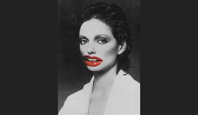 Linder, Principle of Totality (Version I), 2012, detail. Image_ © Linder. Courtesy of the artist; Modern Art, London; Blum, Los Angeles, Tokyo, New Yo