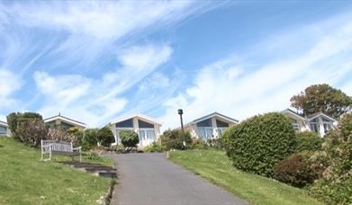 Newpark Holiday Park chalets on top of hill