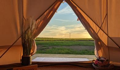 Panoramic Camping and Glamping view from inside tent