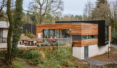 Y Coed - Penllergare Visitor Centre