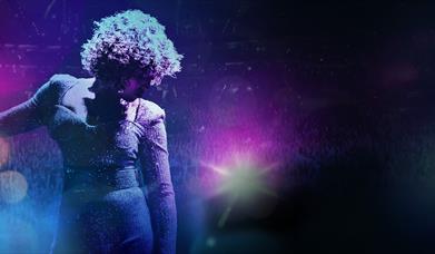 Silhouette of the Whitney Houston performer.