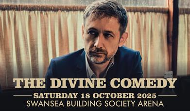 The Divine Comedy on Saturday 18 October 2025 at Swansea Building Society Arena