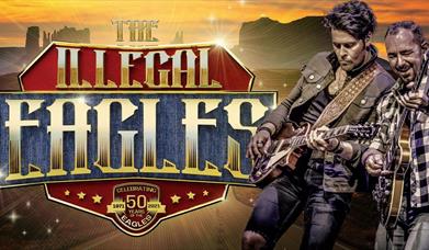 promotional poster for the illegal eagles