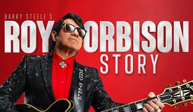 promotional poster for the roy orbison story