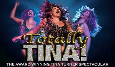 promotional poster for totally tina