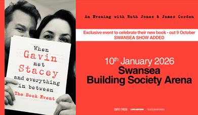 Promotional poster for When Gavin Met Stacey