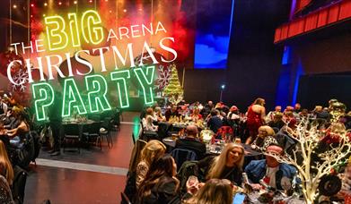 photo of the swansea arena christmas party