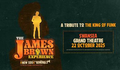 The James Brown Experience