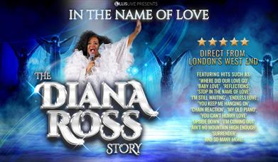 In The Name Of Love The Diana Ross Story