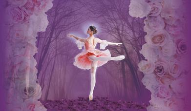 Sleeping Beauty ballet dancer