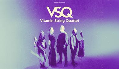 Vitamin String Quartet