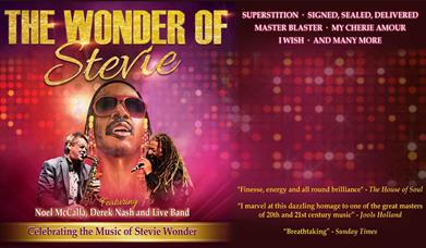 Magic of Steve Wonder