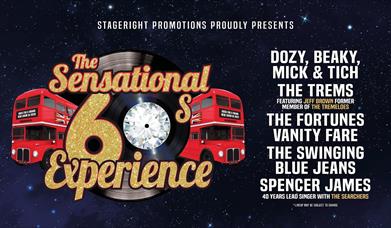 The Sensational 60s Experience