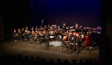 Swansea University Musicians' Society - Winter Showcase