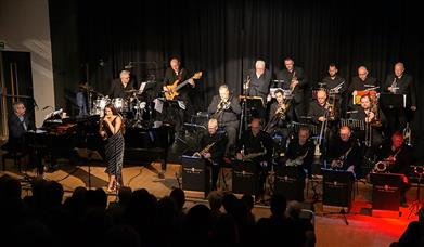 Photograph showing members of te Power of Gower Festival Big Band performing live.