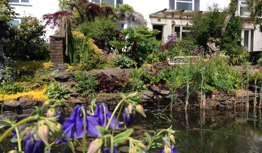 Cwmbach Guest House garden and pond