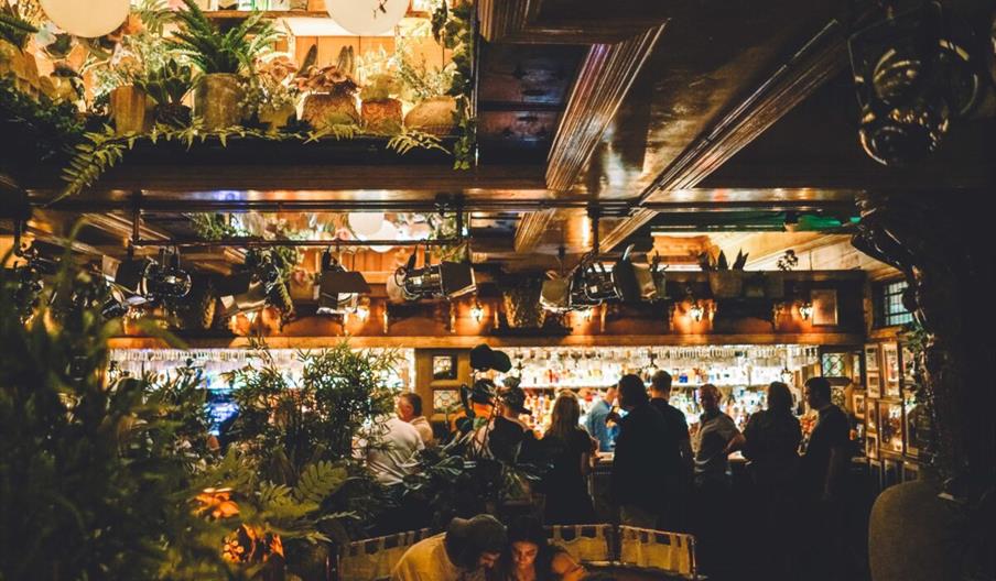 Gin and Juice bar with customers