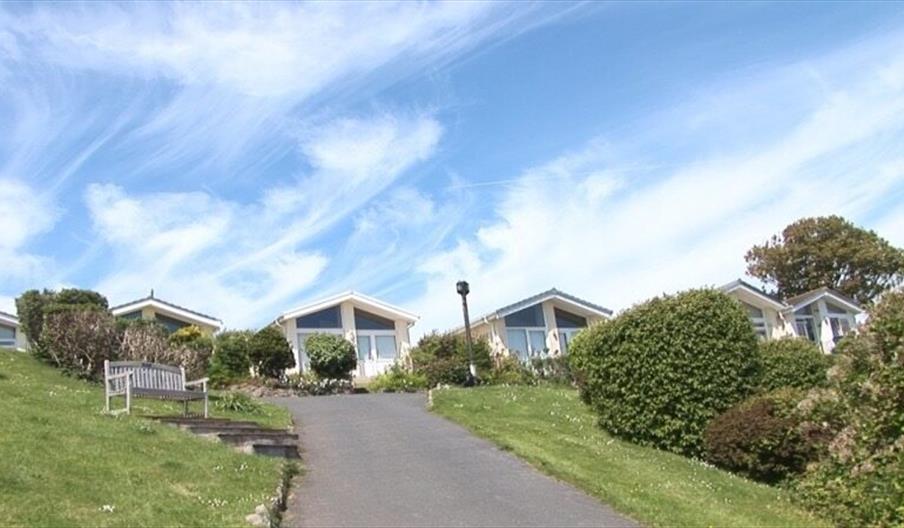 Newpark Holiday Park chalets on top of hill