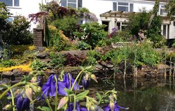 Cwmbach Guest House garden and pond