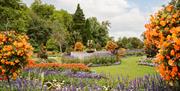 A fountain surrounded by a manicured lawn and colourful flowers.