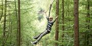 A young boy enjoying the zip line at Go Ape