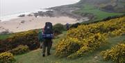 A group of people hiking around Gower with Gower Adventures