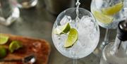 Cast Iron Grill and Bar gin and tonic