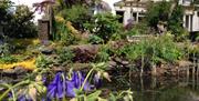 Cwmbach Guest House garden and pond