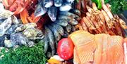 El Pescador Restaurant & Bar selection of fresh fish