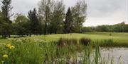 Fairwood Park Golf Club golfer near pond