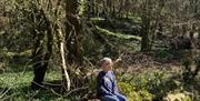 Forest Connections person sitting on log