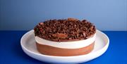 Joes Ice Cream chocolate ice cream cake