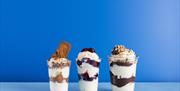 Joes Ice Cream  selection of sundaes