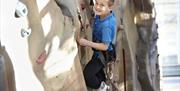 LC Swansea boy on climbing wall