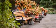 A bench surrounded by flowers
