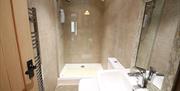 No 2 Cathelyd Colliery Stables bathroom
