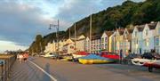Mumbles - Minibus Tour