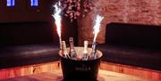 Peppermint Swansea bucket of champagne on table