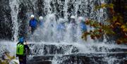 Savage Adventures group standing under waterfall
